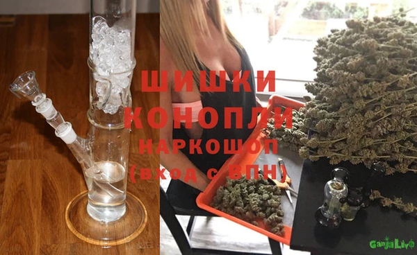 ГАЛЛЮЦИНОГЕННЫЕ ГРИБЫ Зерноград